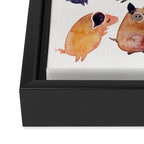 Pig Collection Framed Canvas Print Gallery Image 3