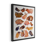 Pig Collection Framed Canvas Print Gallery Image 2