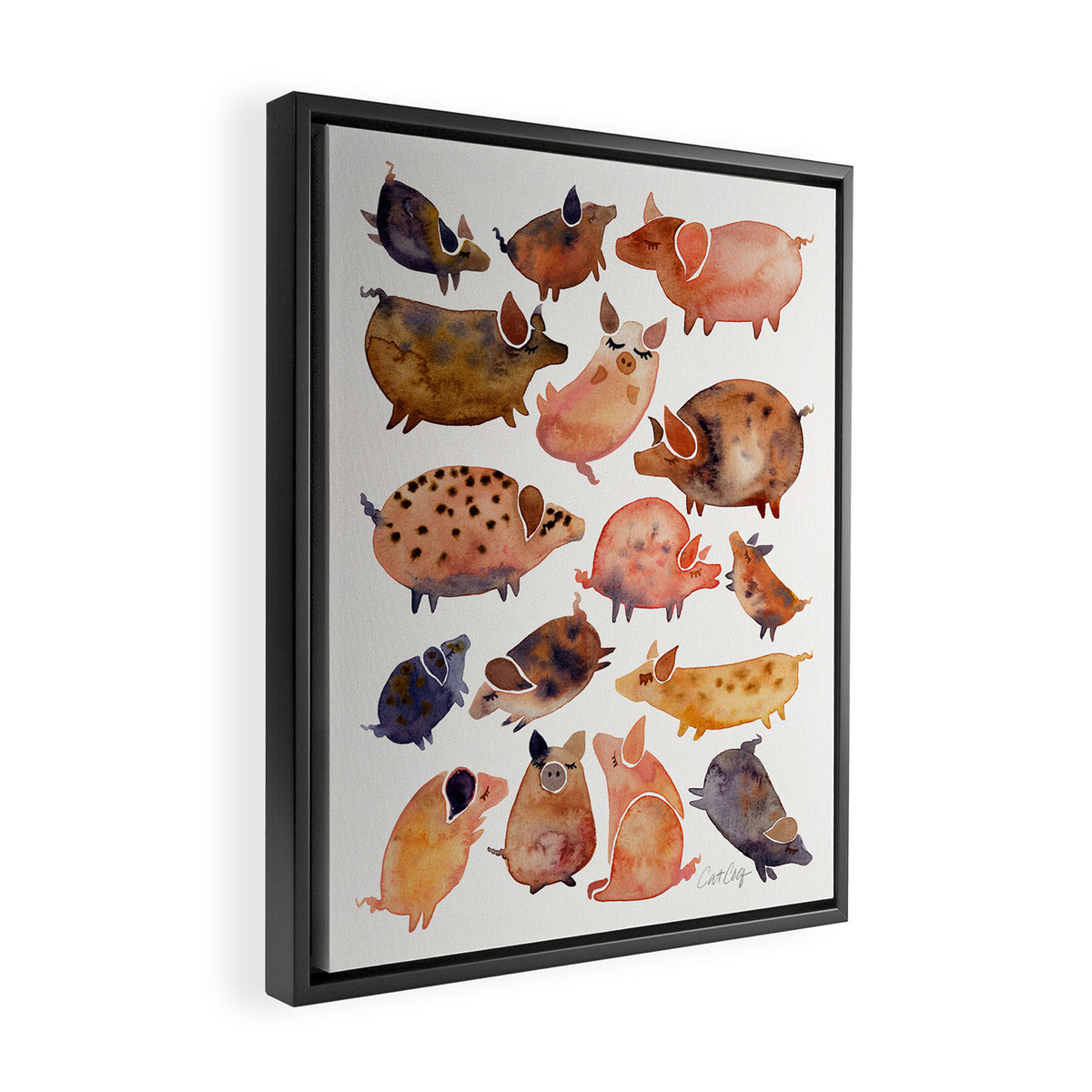 Pig Collection Framed Canvas Print Gallery Image 2