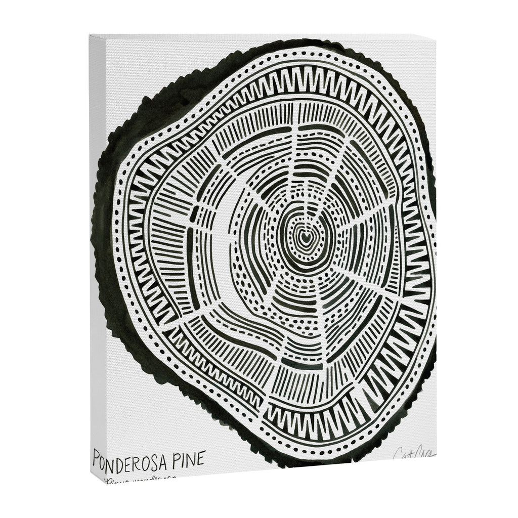 Ponderosa Pine - Black Canvas Print Gallery Image 8