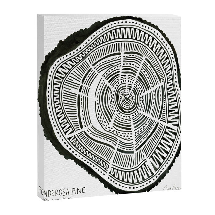 Ponderosa Pine - Black Canvas Print Gallery Image 1