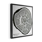 Ponderosa Pine - Black Framed Canvas Print Gallery Image 2
