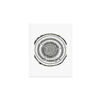 Quaking Aspen - Black Tree Rings Art Print Gallery Image 1