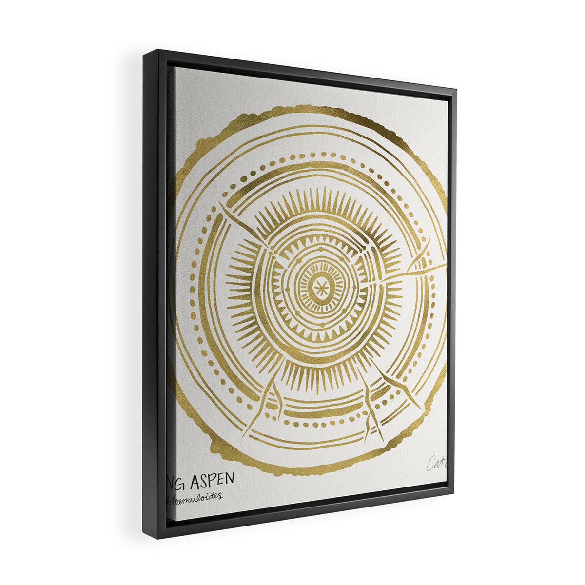 Quaking Aspen - Gold Tree Rings Framed Canvas Print Gallery Image 2