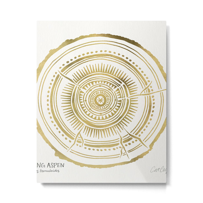 Quaking Aspen - Gold Tree Rings Metal Print Gallery Image 1