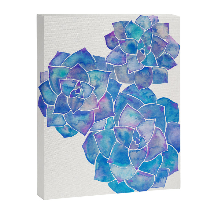 Rosette Succulents - Blue Palette Canvas Print Gallery Image 1