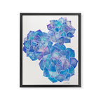 Rosette Succulents - Blue Palette Framed Canvas Print Gallery Image 8