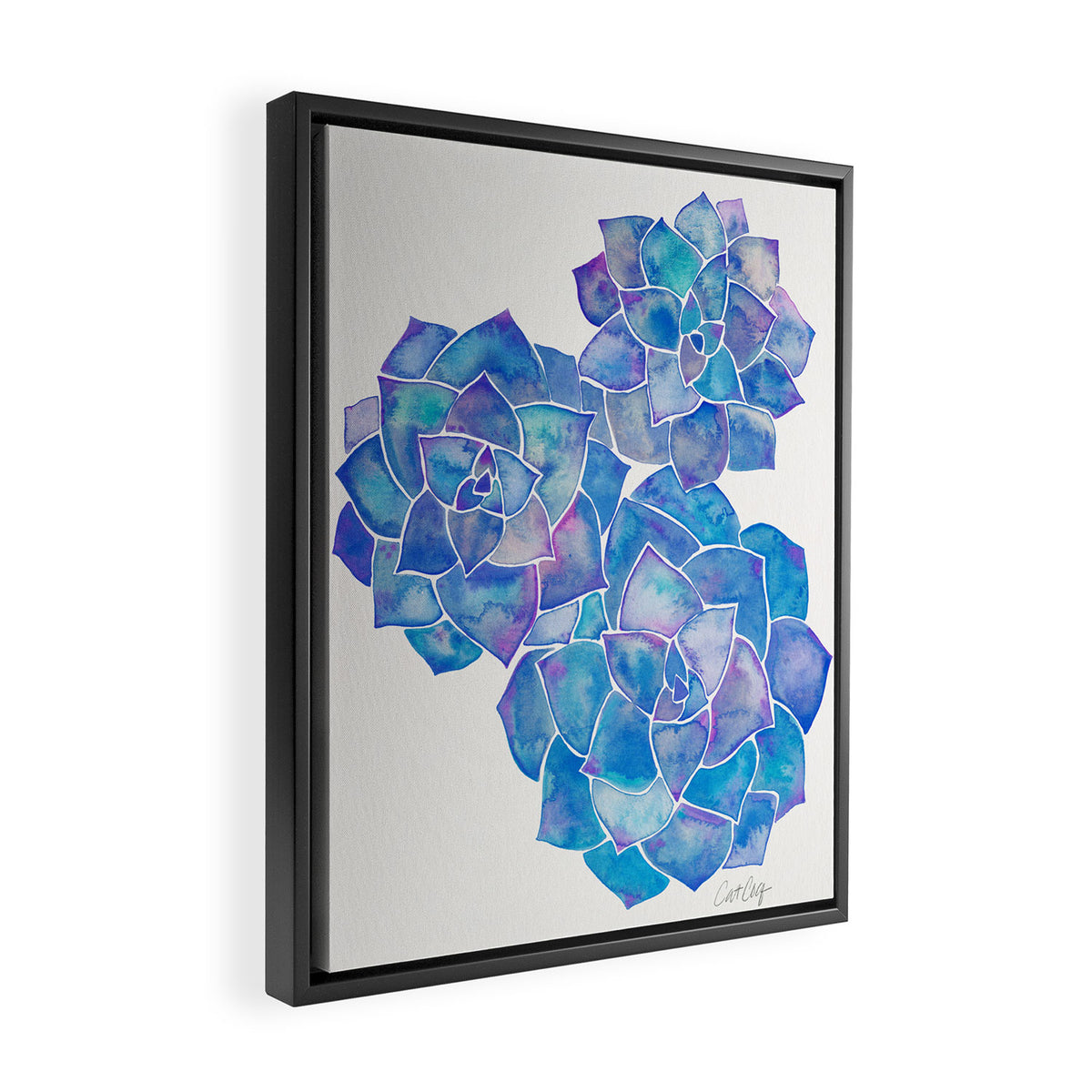 Rosette Succulents - Blue Palette Framed Canvas Print Gallery Image 2