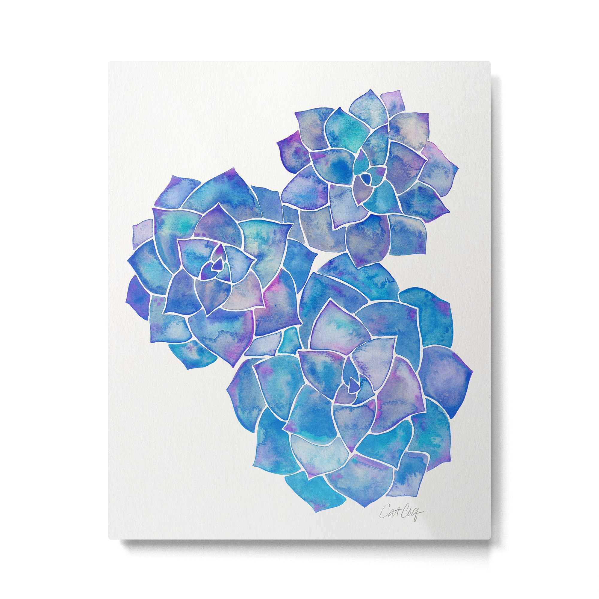 Rosette Succulents - Blue Palette Metal Print Gallery Image 6