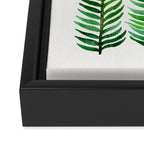 Seaweed Framed Canvas Print Gallery Image 3