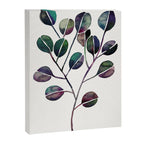 Silver Dollar Eucalyptus - Deep Cool Palette Canvas Print Gallery Image 8