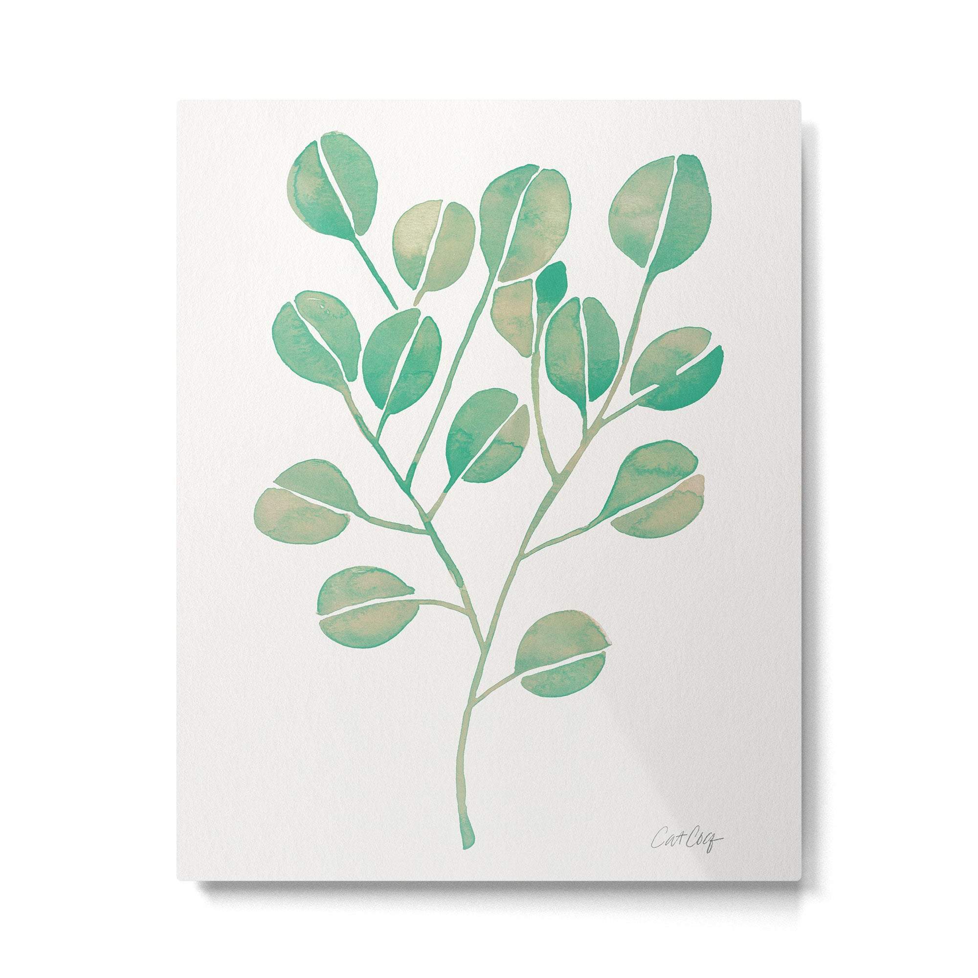 Silver Dollar Eucalyptus - Mint Palette Metal Print Gallery Image 6