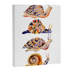 Snail Collection Canvas Print Gallery Image 6