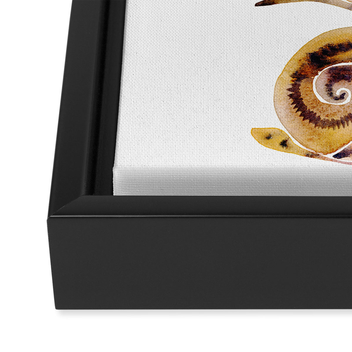 Snail Collection Framed Canvas Print Gallery Image 3