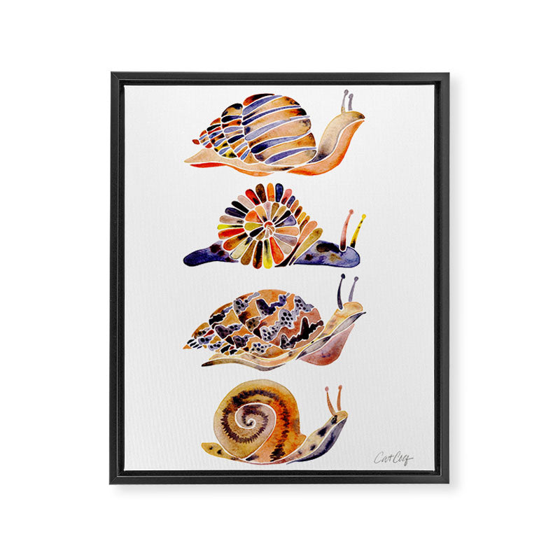 Snail Collection Framed Canvas Print Gallery Image 6