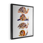 Snail Collection Framed Canvas Print Gallery Image 2