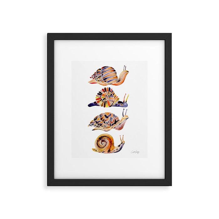Snail Collection Framed Art Print Gallery Image 1