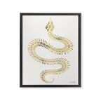 Snake Skeleton - Gold Framed Canvas Print Gallery Image 8