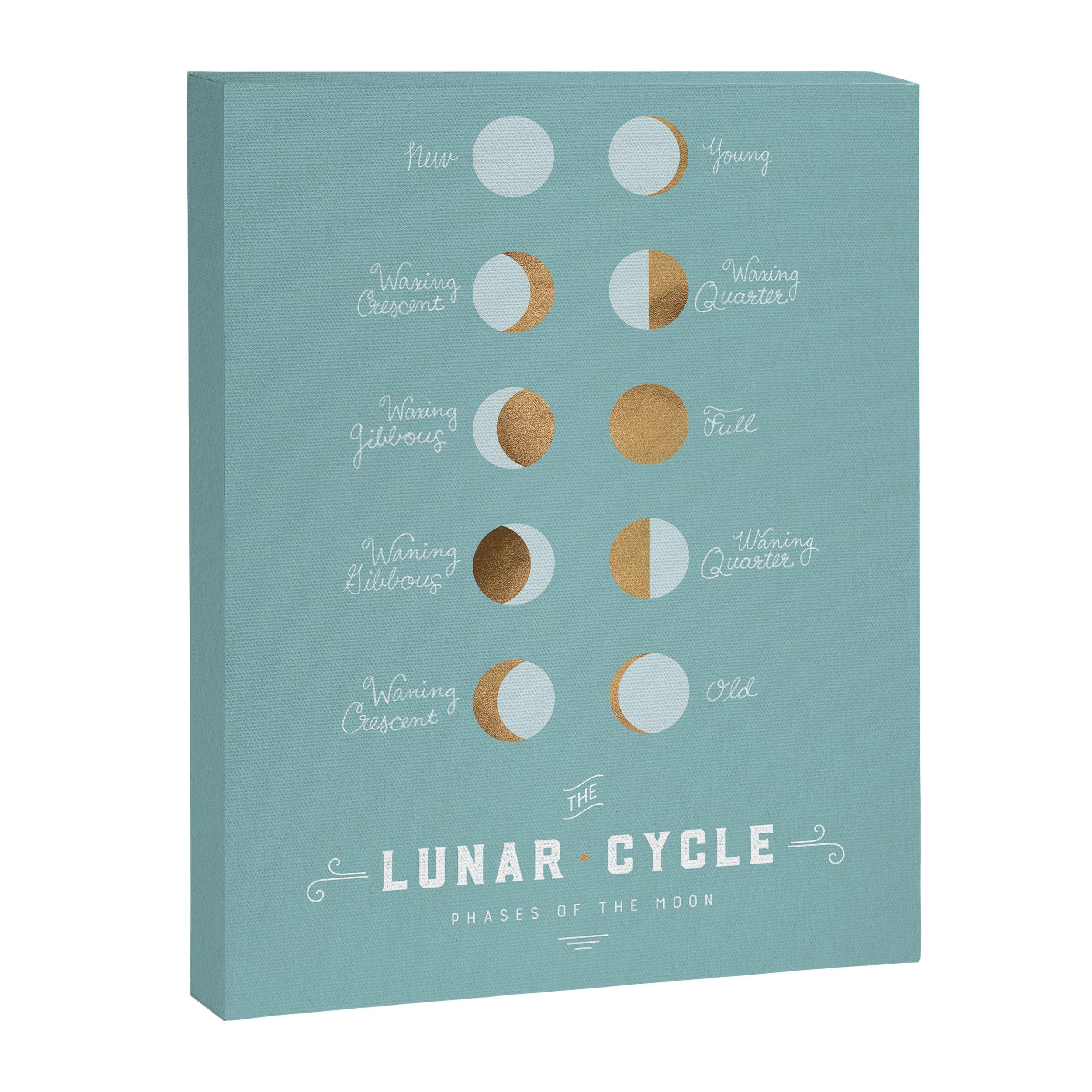 The Lunar Cycle â¢ Phases of the Moon â Copper & Robin's Egg Blue Palette Canvas Print Gallery Image 6