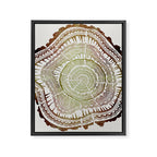 Tree Rings - Watercolor Ombre Framed Canvas Print Gallery Image 8