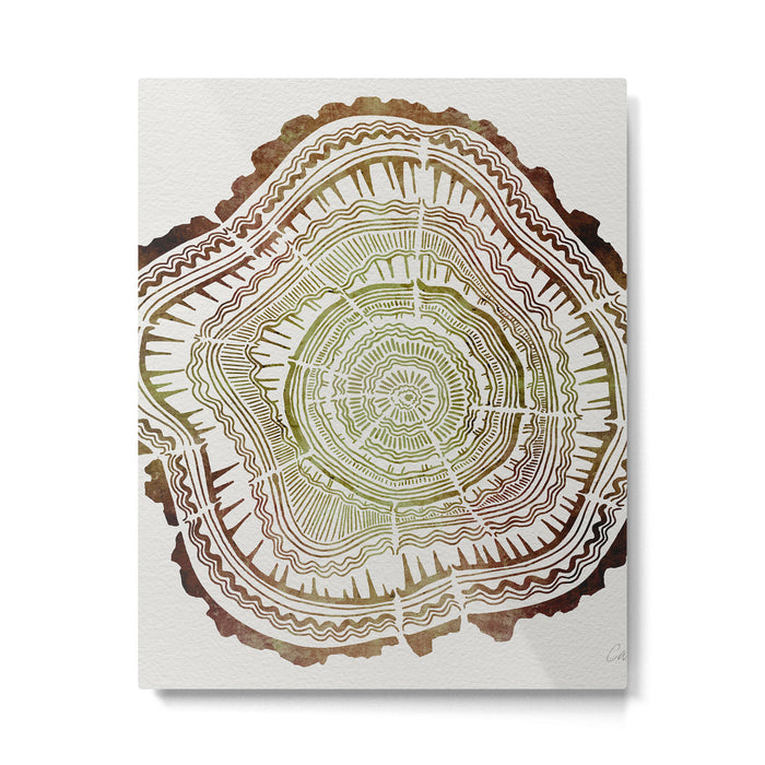 Tree Rings - Watercolor Ombre Metal Print Gallery Image 1