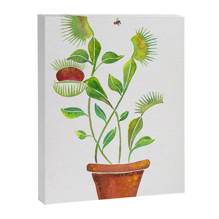 Venus Fly Trap Watercolor Canvas Print Gallery Image 1