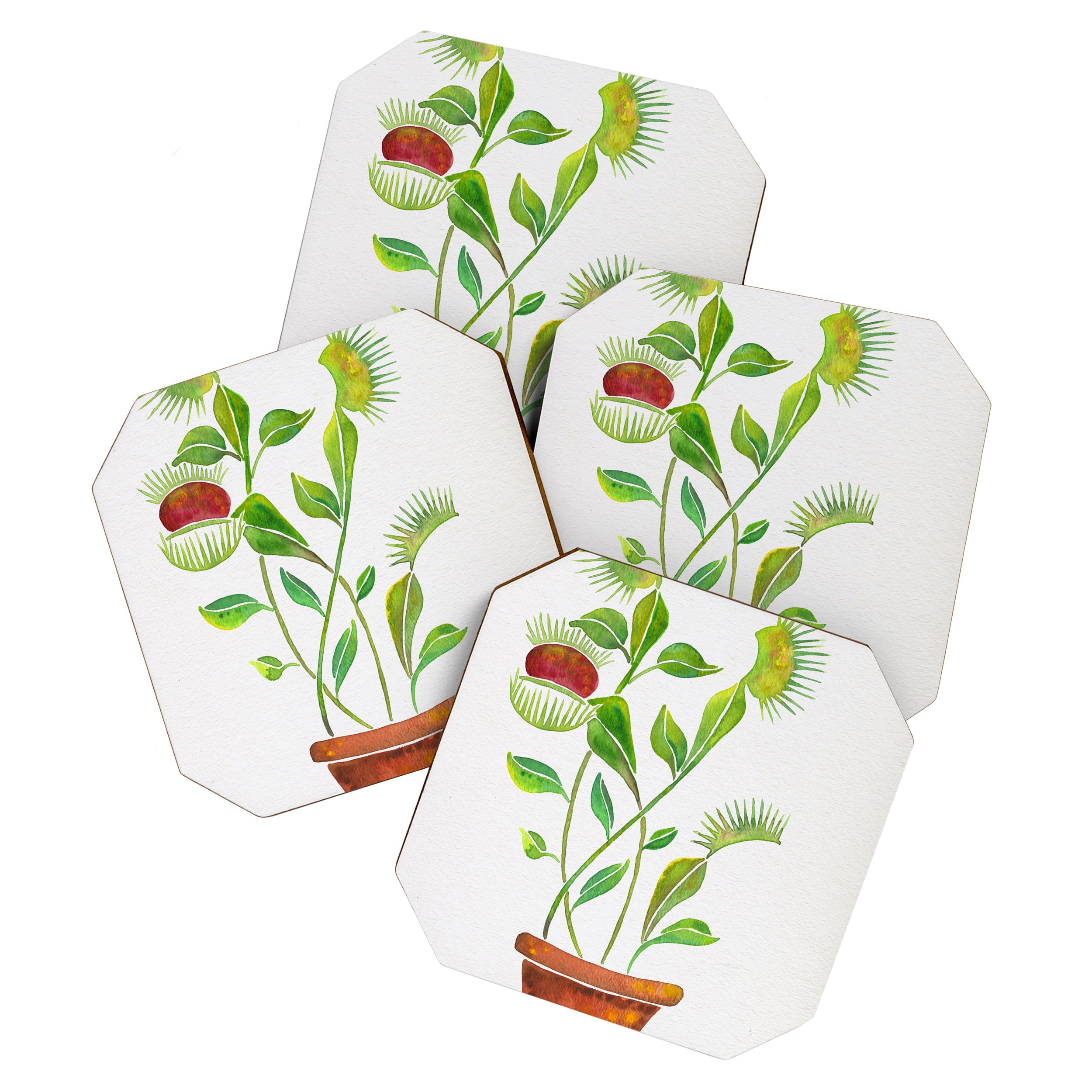 Venus Fly Trap Watercolor Coaster Gallery Image 1