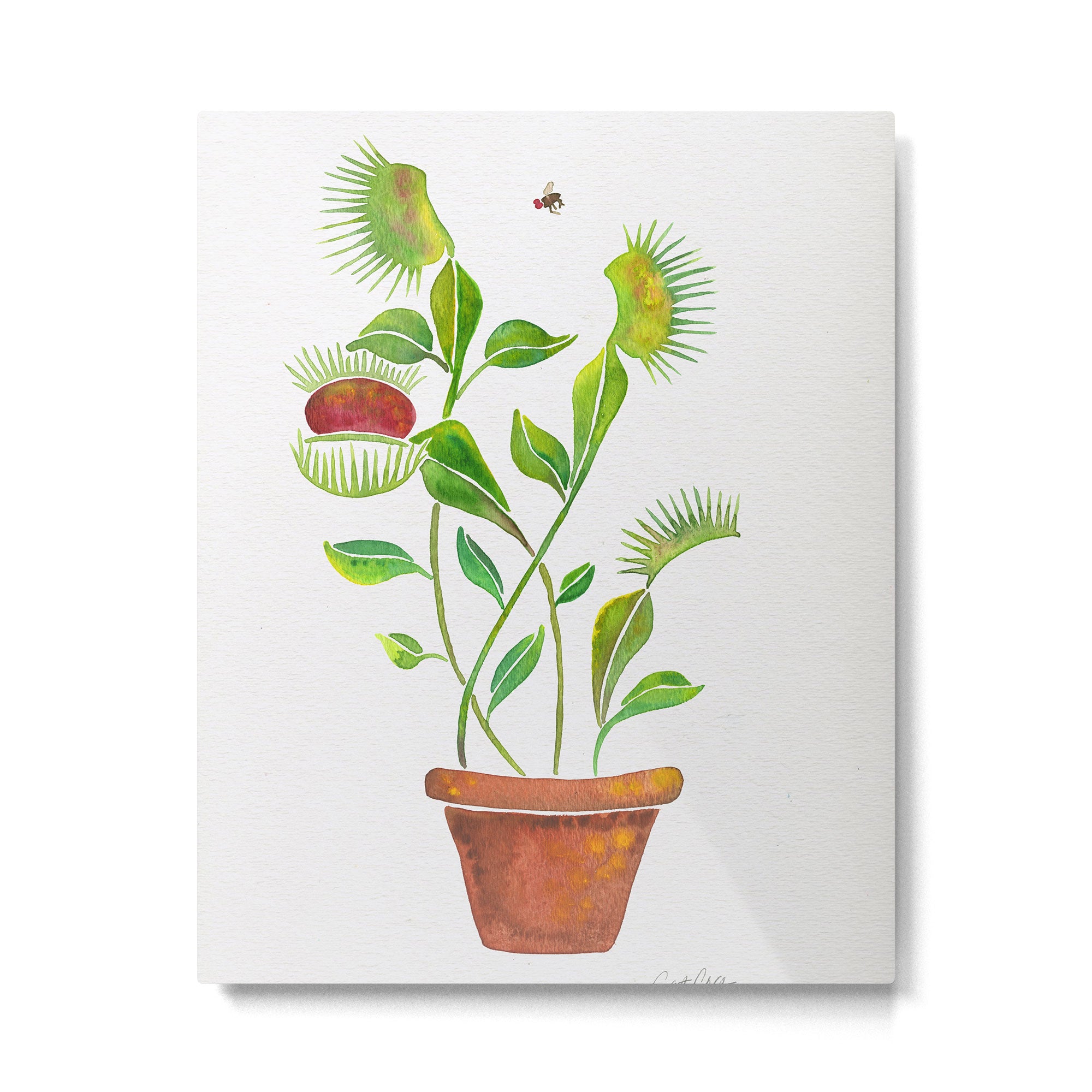 Venus Fly Trap Watercolor Metal Print Gallery Image 6
