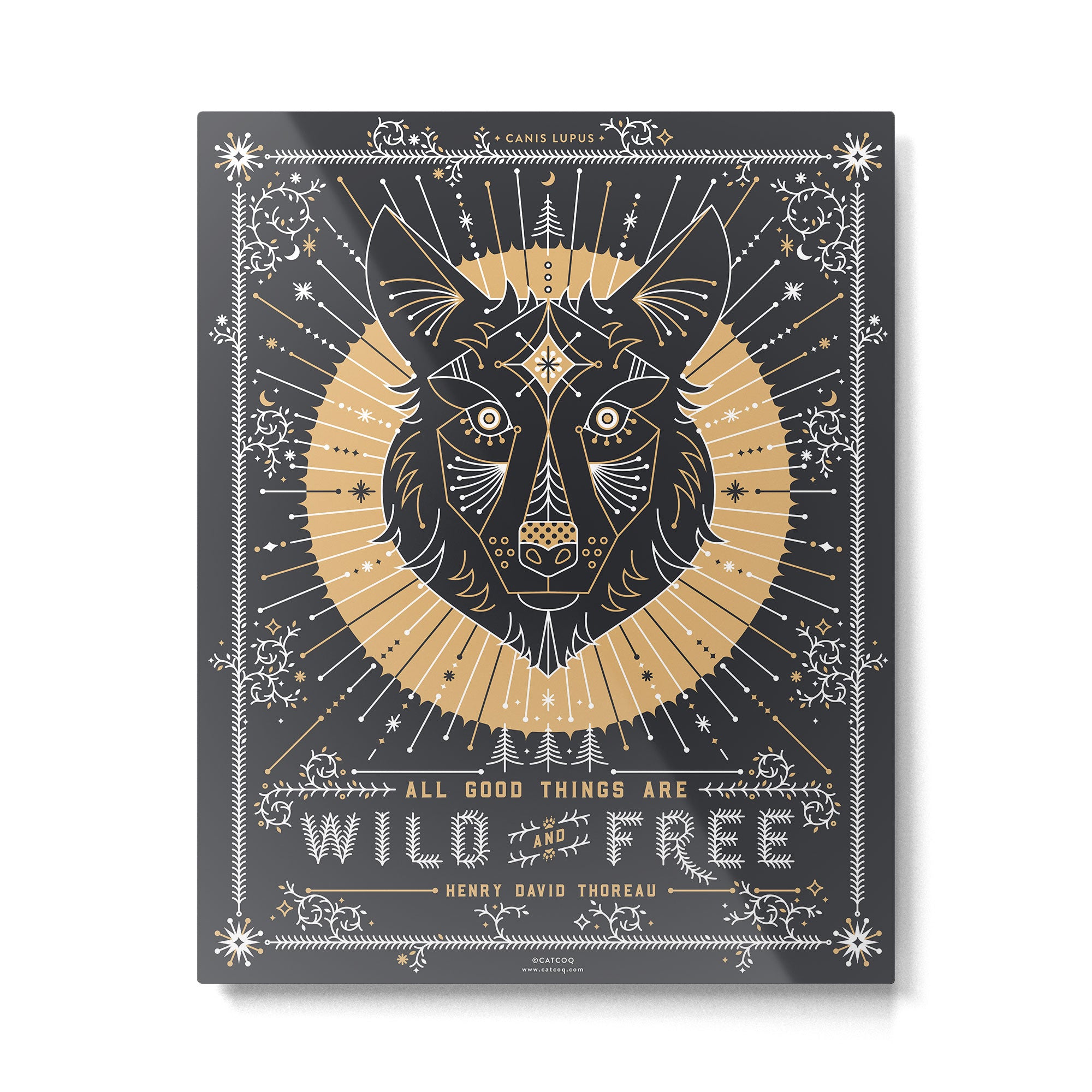 Wild & Free Wolf - Gold & Grey Metal Print Gallery Image 6