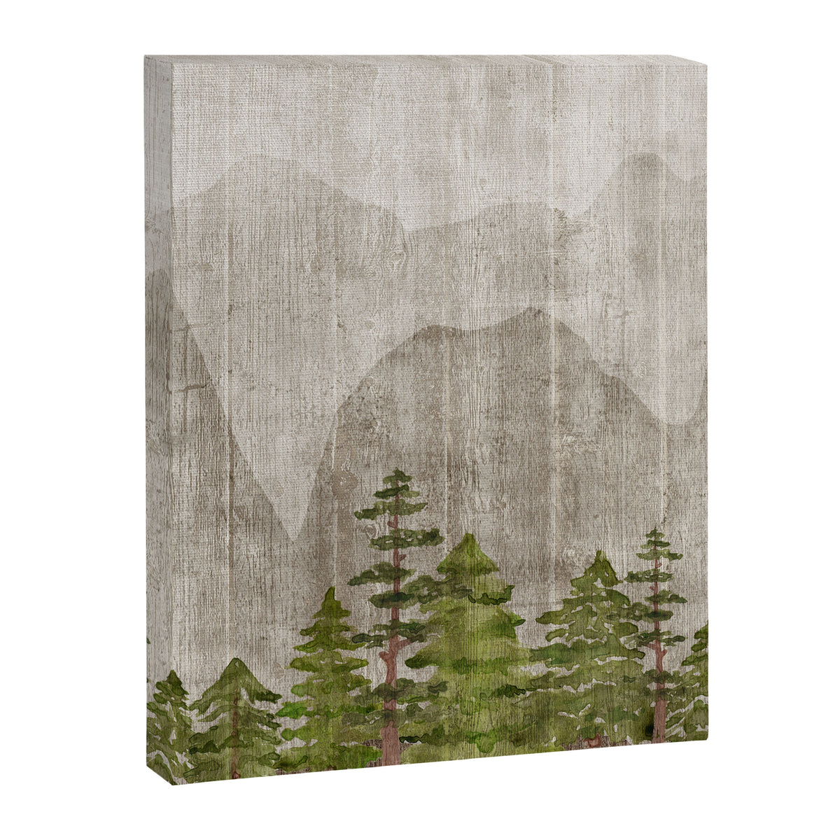 Mountain Range Woodland Forest Canvas Print Gallery Image 8