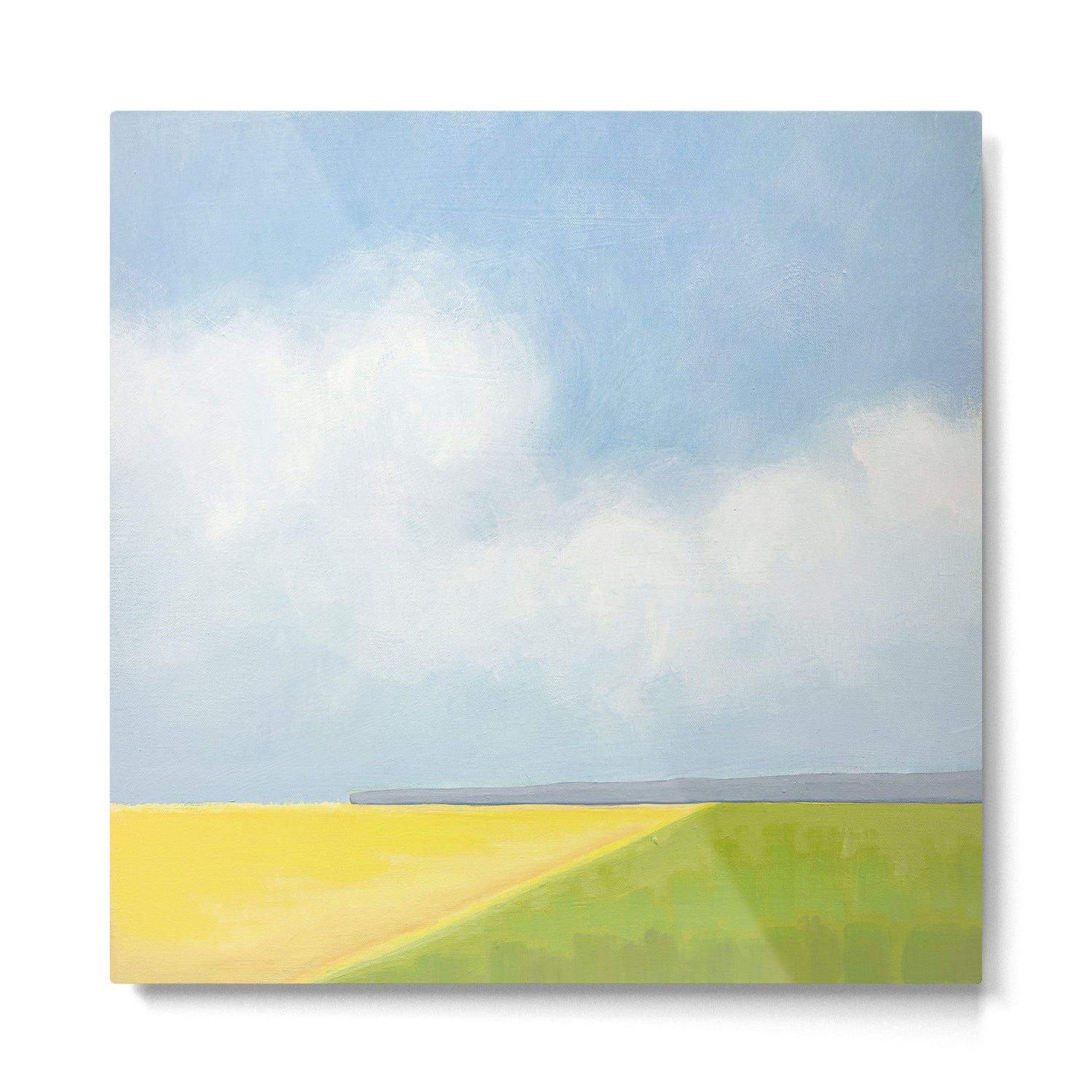 Abstract Landscape With Flowers and Blue Sky Metal Print Gallery Image 2