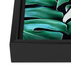 Monstera leaves Framed Canvas Print Gallery Image 3