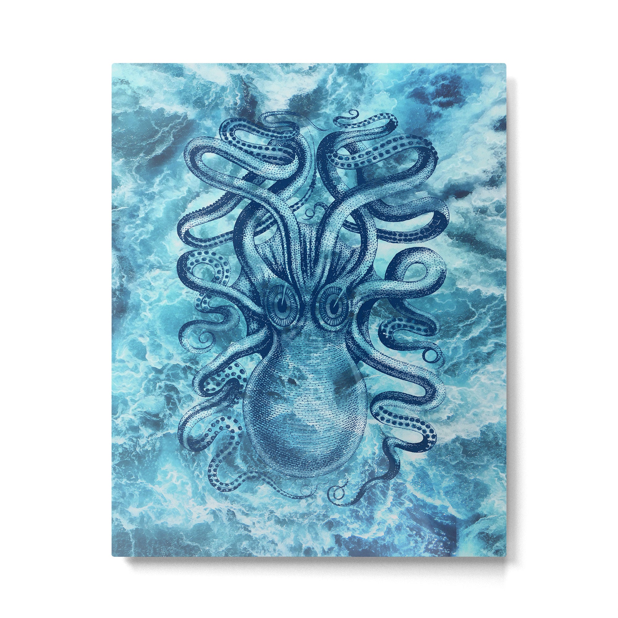 Octopus Metal Print Gallery Image 4