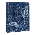 Pisces sky star map Canvas Print Gallery Image 8