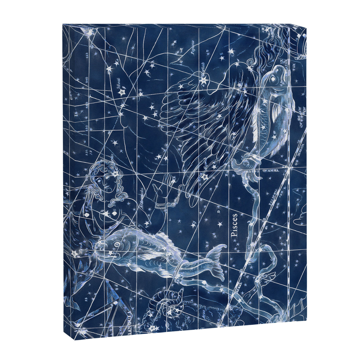 Pisces sky star map Canvas Print Gallery Image 8