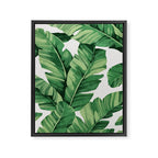 Tropical banana leaves Framed Canvas Print Gallery Image 6