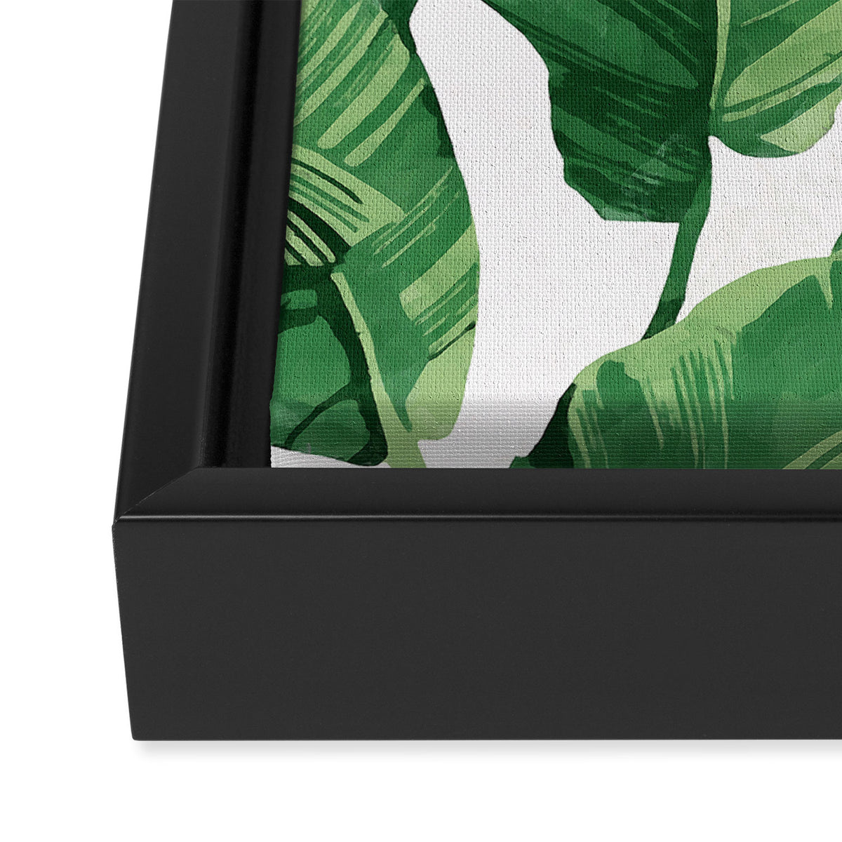 Tropical banana leaves IV Framed Canvas Print Gallery Image 3