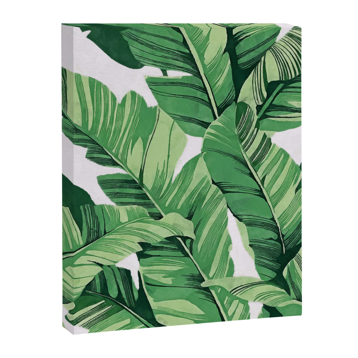 Tropical banana leaves V Canvas Print Gallery Image 6