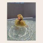 LITTLE HAPPINESS | duck | chick | collage | bath | happy | positive | cute | pet | animal | smile  Poster Gallery Image 4