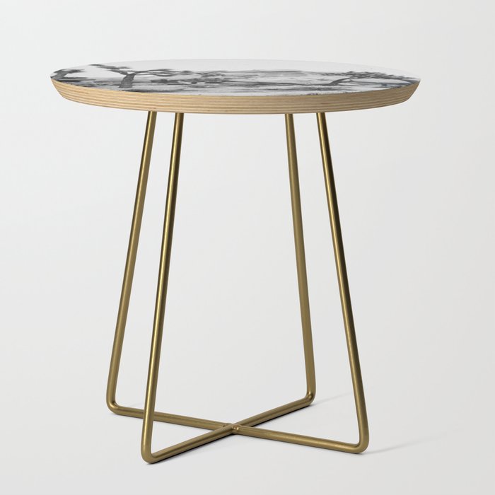 JOSHUA TREE XIV / California Desert Side Table Gallery Image 1