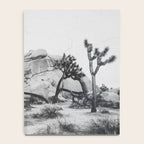 JOSHUA TREE XIV / California Desert Notebook Gallery Image 4