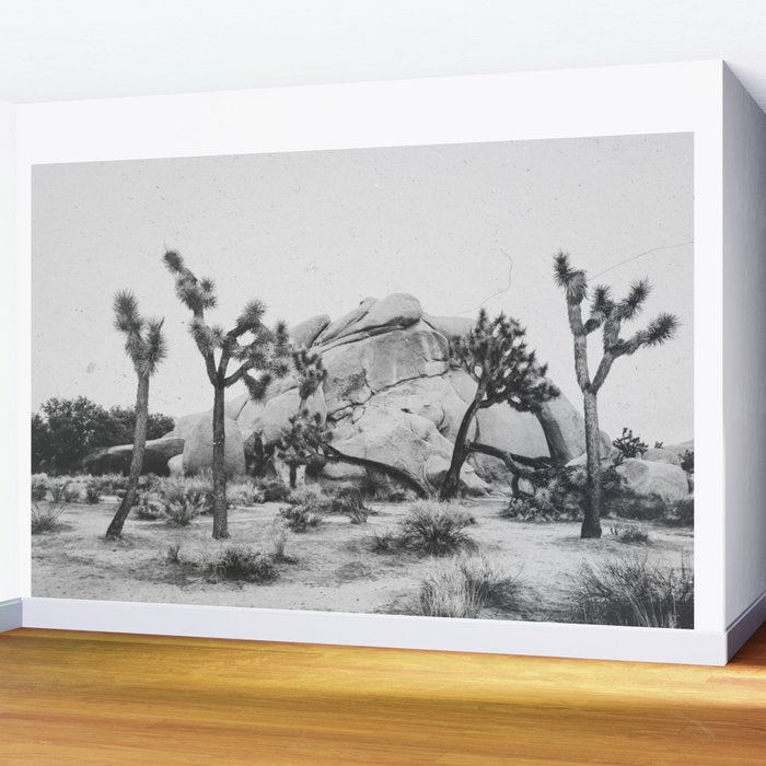JOSHUA TREE XIV / California Desert Wall Mural Gallery Image 2