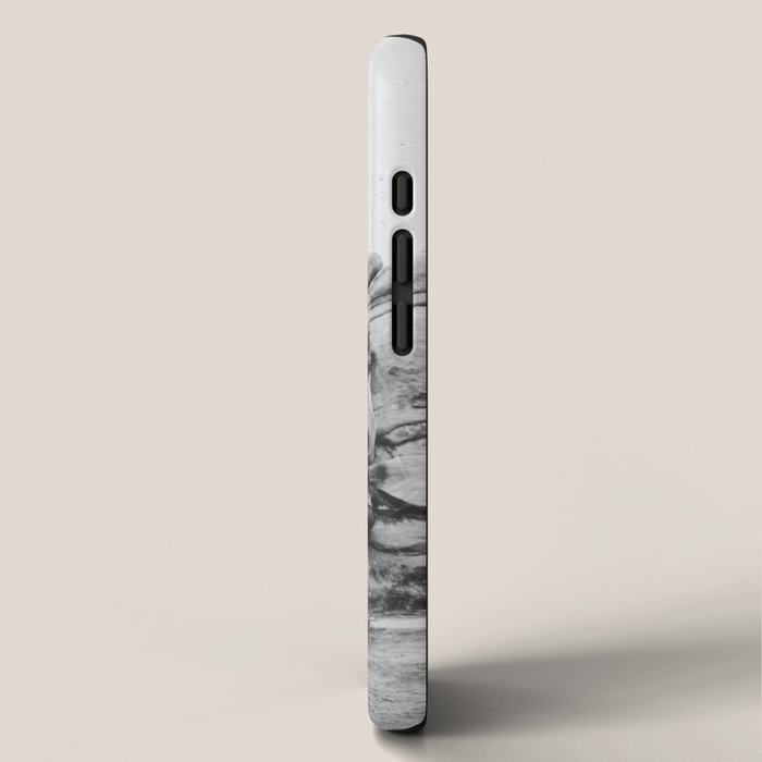 JOSHUA TREE XIV / California Desert iPhone Case Gallery Image 2