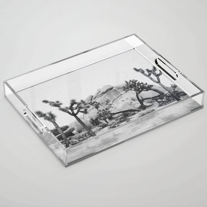 JOSHUA TREE XIV / California Desert Acrylic Tray Gallery Image 1