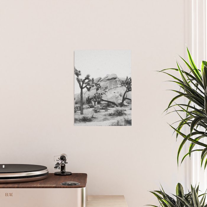 JOSHUA TREE XIV / California Desert Poster Gallery Image 2