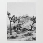 JOSHUA TREE XIV / California Desert Poster Gallery Image 4