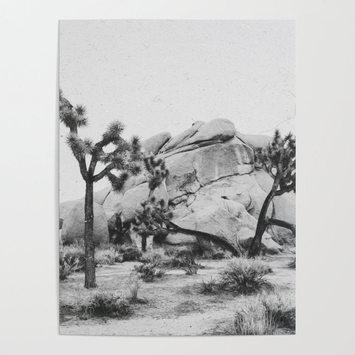 JOSHUA TREE XIV / California Desert Poster Gallery Image 4