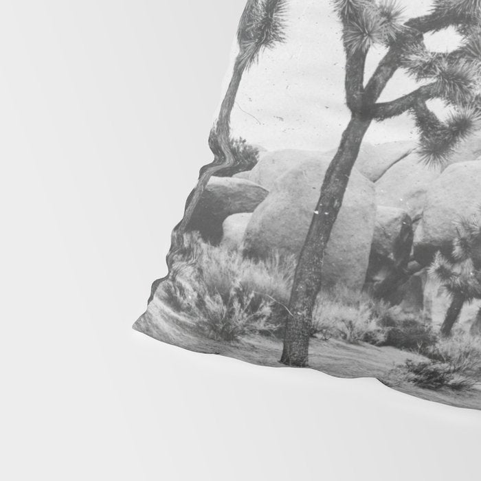 JOSHUA TREE XIV / California Desert Pillow Sham Gallery Image 4