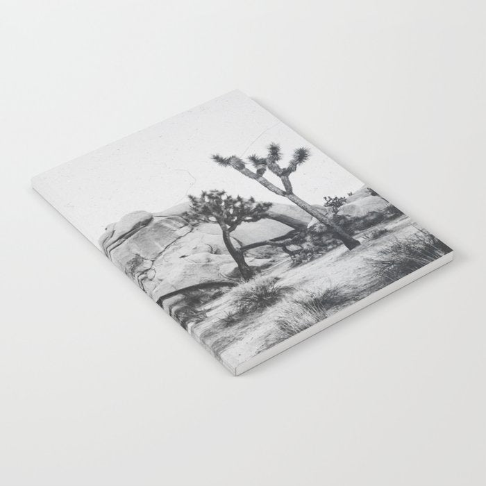 JOSHUA TREE XIV / California Desert Notebook Gallery Image 2