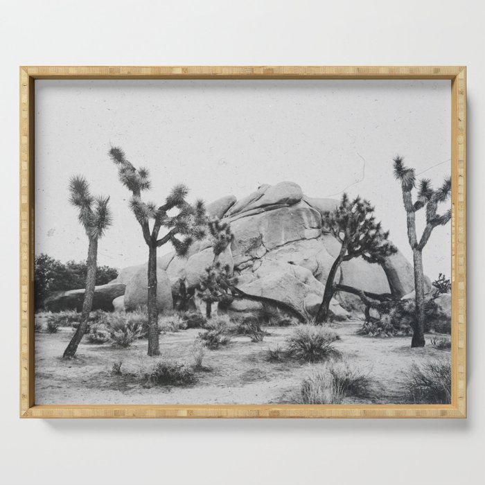 JOSHUA TREE XIV / California Desert Serving Tray Gallery Image 1